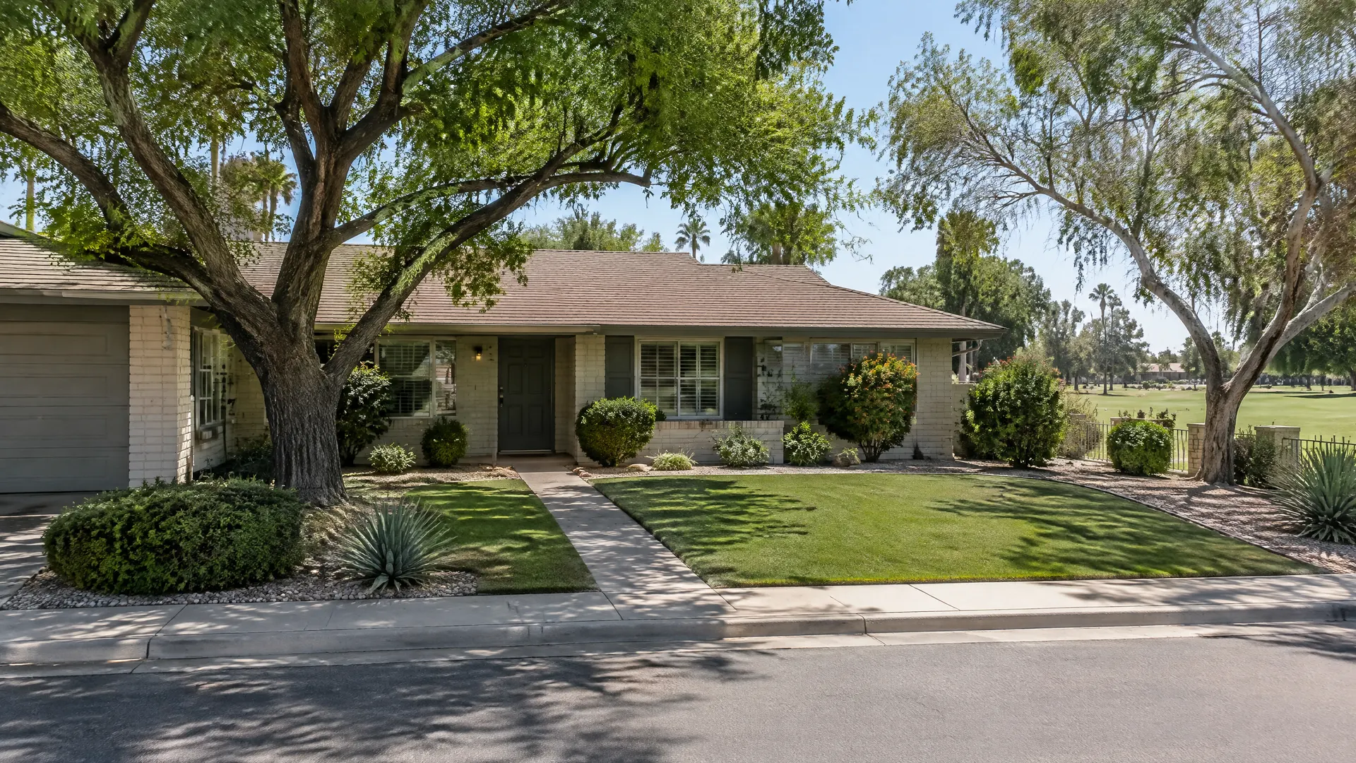 Front yard of an older single-story ranch home on a quiet street near a historic golf course in central Chandler, Arizona, mature shade trees and a neat artificial turf lawn beside the front walk