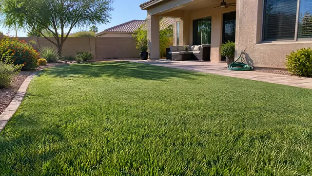 Freshly cleaned artificial turf lawn in a Chandler, Arizona backyard, blades brushed upright and glistening slightly from a rinse, a garden hose coiled on the patio, morning sun, stucco home in the background